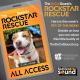 KCSN RockstarRescue PotW 050626 CreateOutlines IG SQUARE 1080x1080