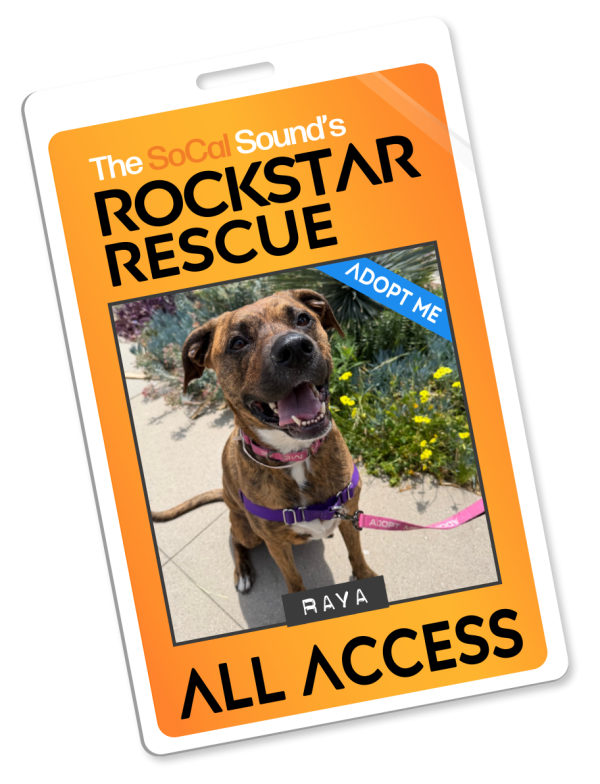 KCSN RockstarRescue PotW 051326 Pass
