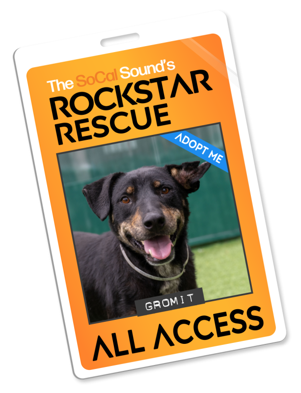 KCSN RockstarRescue PotW 052726 Pass