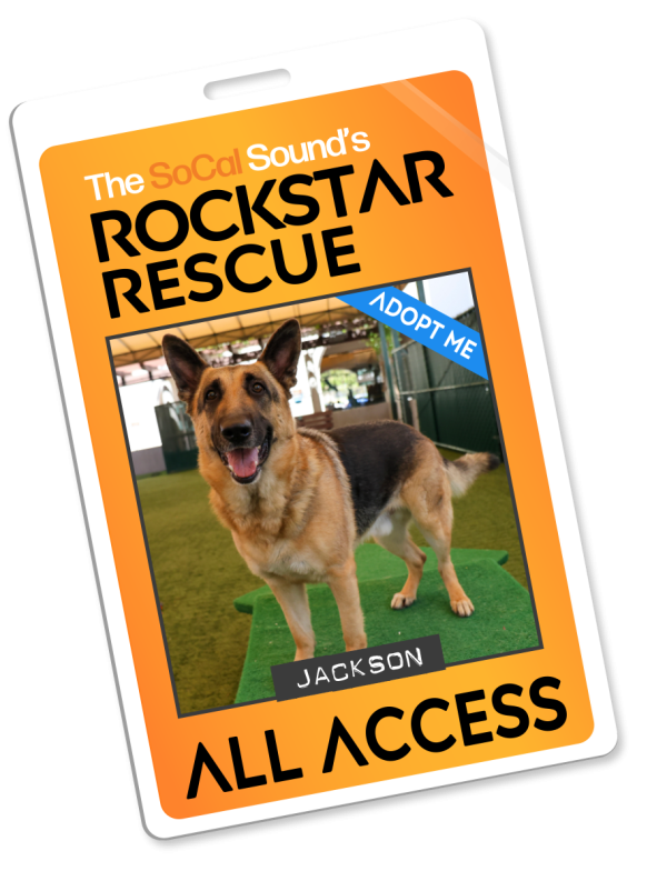 KCSN RockstarRescue PotW 081926 Pass