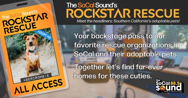 KCSN RockstarRescue PotW 032526 CreateOutlines FACEBOOK 1200x630