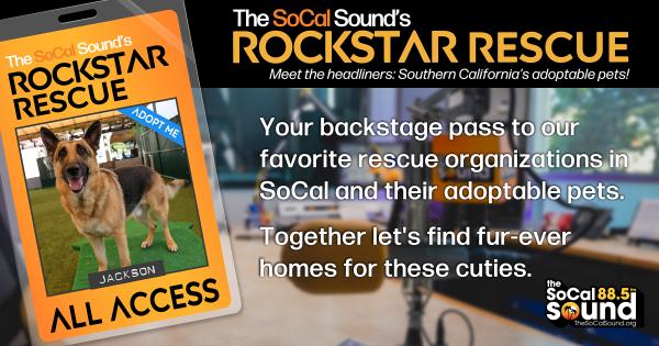 KCSN RockstarRescue PotW 081926 CreateOutlines FACEBOOK 1900x630