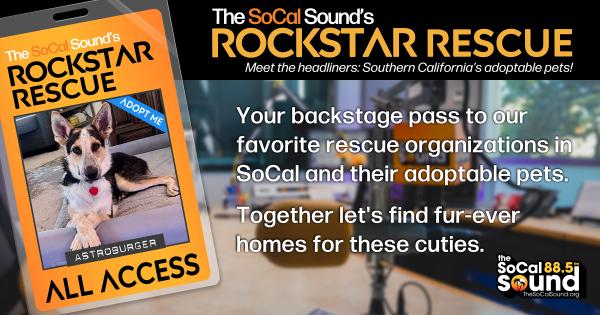 KCSN RockstarRescue PotW 090226 CreateOutlines FACEBOOK 1200x630