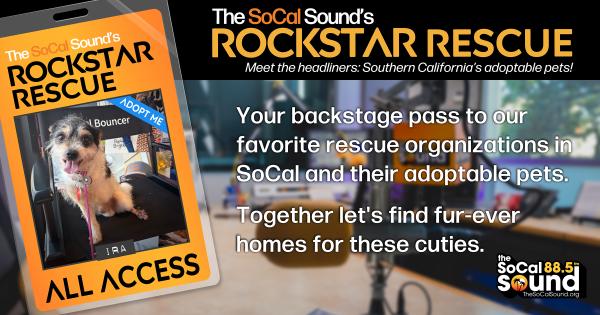 KCSN RockstarRescue PotW 091626 CreateOutlines FACEBOOK 1200x631