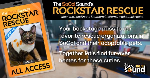 KCSN RockstarRescue PotW 100726 CreateOutlines FACEBOOK 1200x630