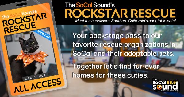 KCSN RockstarRescue PotW 102126 CreateOutlines FACEBOOK 1200x630