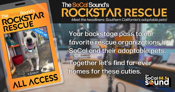 KCSN RockstarRescue PotW 121525 CreateOutlines FACEBOOK 1200x631