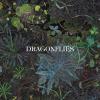 The psychedelic trip of Dragonflies, the new Dhani Harrison + Nigel Godrich project - our 88-5 ALBUM DIVE!