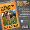 This sweet German Shepard is ready for belly rubs - JACKSON - our PET OF THE WEEK!