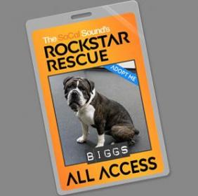 Rockstar Rescue